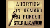 "Abortion on Demand – No Forced Sterilization". Intersektionale Perspektiven auf Bio-Politik in den 1970er-80er Jahren. Teil 1