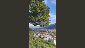 thumbnail of medium Freiburg Impressionen 10