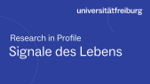 thumbnail of medium Research in Profile -  Jürgen Kleine-Vehn