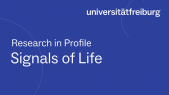 thumbnail of medium Research in Profile - Thomas Ott