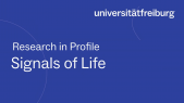 thumbnail of medium Research in Profile -  Jürgen Kleine-Vehn